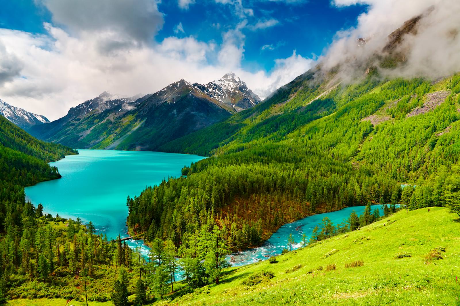 Beautiful Theme Download