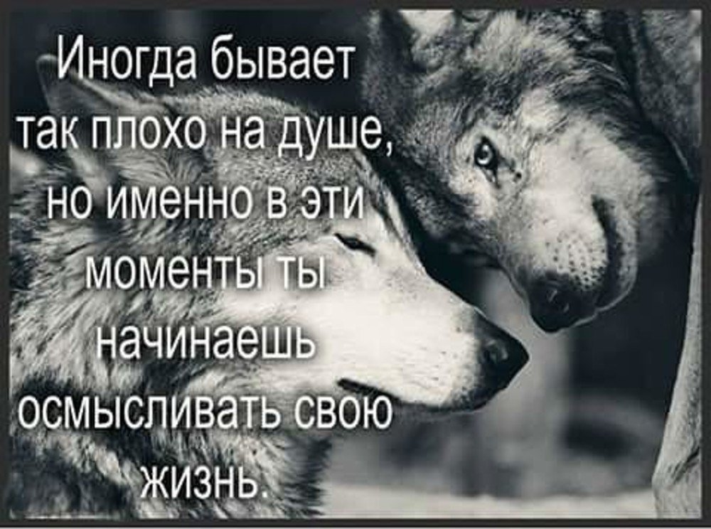 В жизни так бывает что. Плохо на душе. Плохо на душе статусы. Мне плохо статусы. Стихи когда плохо на душе.