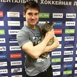 Кошчонка у Земчёнка - Фрикции. Animals - Блоги - Sports.ru