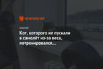 Кот, которого не пускали в самолёт из-за веса, потренировался с «Адмиралом»