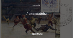 Лики шайбы