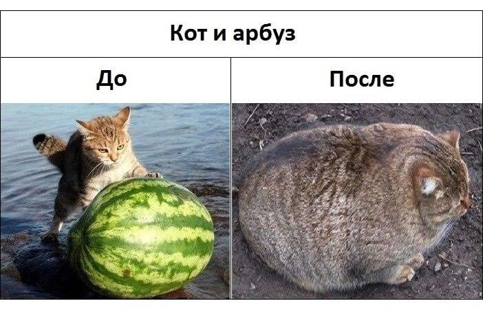 Хитрый план катить арбуз