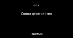 Сокол десятилетия