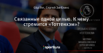 Связанные одной целью. К чему стремится «Тоттенхэм»?