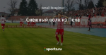 Снежный волк из Печа