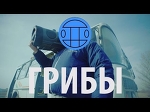 Грибы - Тает Лёд