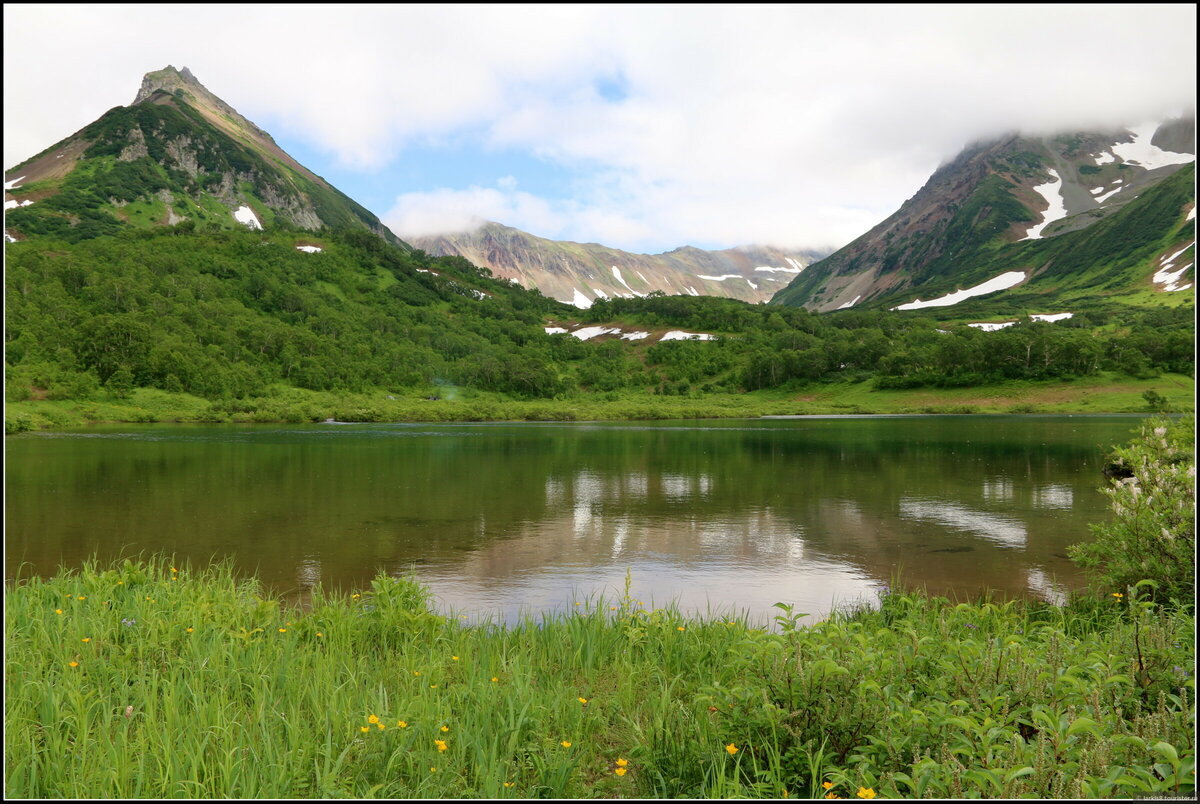 Альпийские Луга Камчатки