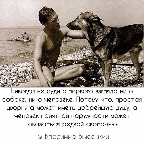 Как то бороду завязал узлом и из кустов назвал волка сволочью