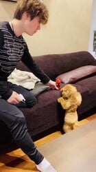 自由人 on Twitter