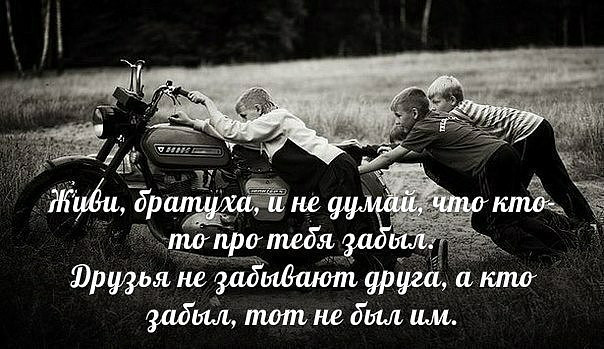 Вот что значит настоящий верный друг проект 4 класс по светской этике