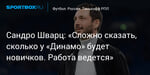 Футбол. Сандро Шварц: «Сложно сказать, сколько у «Динамо» будет новичков. Работа ведется»