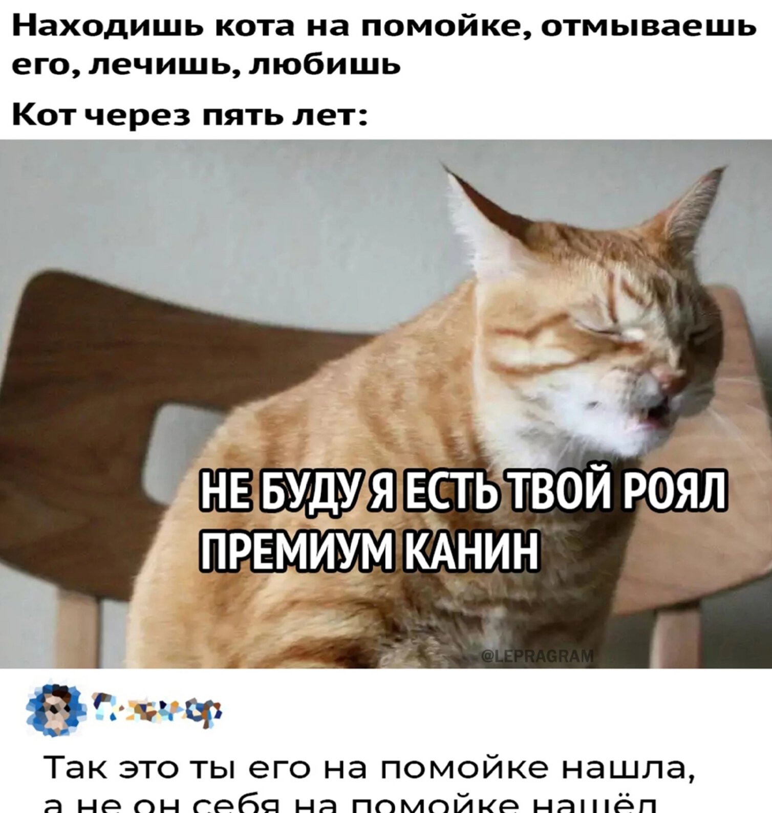 Ты Что Свой Член На Помойке Нашел