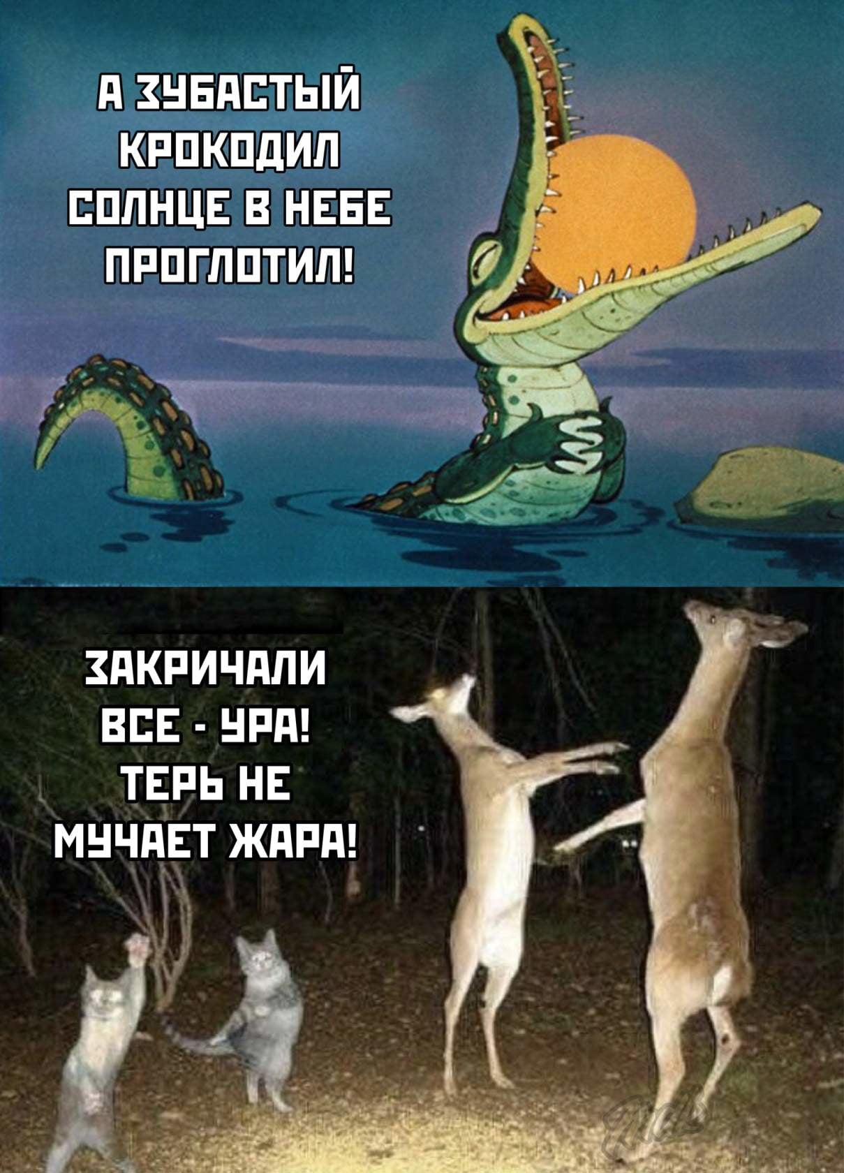 Солнце в небе проглотил