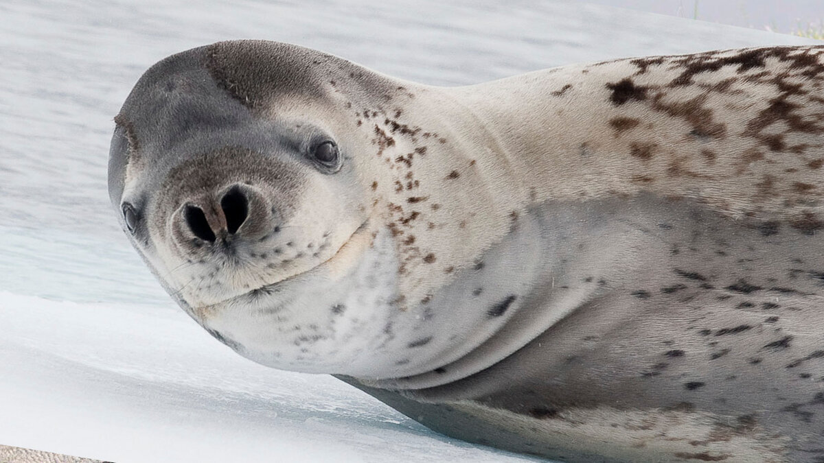 Заключение