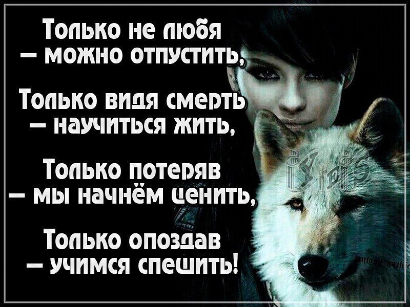 Мочь пускать. А может нам друг друга взять и отпустить. Только потеряв мы начинаем ценить только опоздав учимся спешить. Отпустить друг друга. Отпустив человека цитаты.