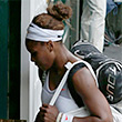 Карла Суарес-Наварро, Уимблдон, ITF, Томаш Бердых, Агнешка Радванска, Томми Хаас, Хуан Мартин дель Потро, Серена Уильямс, Цветана Пиронкова, Фернандо Вердаско, Давид Феррер, Роберта Винчи, Марион Бартоли, Флавия Пеннетта, Михаил Южный, Слоун Стивенс, Петра Квитова, Новак Джокович, Сабин Лисицки, Ежи Янович, Бернард Томич, WTA, ATP, Лора Робсон, Ли На, Энди Маррей