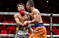 легчайший вес, Нонито Донейр, World Boxing Super Series, Наойя Инуэ, бокс