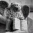 Пескара, Ним, Генгам, Интер, Лацио, Катания, Торино, Боавишта, Палмейрас, Арсенал, Тоттенхэм, Лидс, Дженоа, фото, Дерби Каунти, Кардифф Сити, Шеффилд Уэнсдей, Кельн, Суонси, Венеция