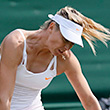 Иван Додиг, Мария Шарапова, Сабин Лисицки, Уимблдон, ATP, Майк Брайан, Анжелик Кербер, Фабио Фоньини, Бернард Томич, Михаил Южный, Энди Маррей, Роджер Федерер, Марион Бартоли, Горан Иванишевич, Алиса Клейбанова, Серена Уильямс, Милош Раонич, Кимико Дате, Аранта Рус, Боб Брайан, Ежи Янович, WTA
