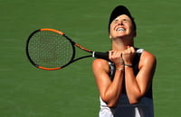 Серена Уильямс, Бьянка Андрееску, Наоми Осака, Кики Бертенс, WTA, Петра Квитова, Белинда Бенчич, Симона Халеп, Элина Свитолина, WTA Finals, Каролина Плишкова, Эшли Барти