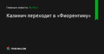 Калинич переходит в «Фиорентину» - Футбол - ua.tribuna.com