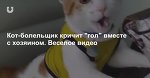 Кот-болельщик кричит "гол" вместе с хозяином. Веселое видео