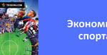 Как сделать спорт самоокупаемым, не привлекая внимания олигархов