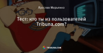 Тест: кто ты из пользователей Tribuna.com?