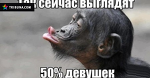 Кубок Короля Испании