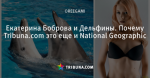 Екатерина Боброва и Дельфины. Почему Tribuna.com это еще и National Geographic - Белый Аист - Блоги - ua.tribuna.com