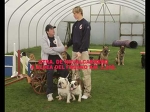 Fernando Torres anuncia escuela canina Narub (Teaser Banco Gallego)