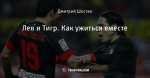 Лев и Тигр. Как ужиться вместе