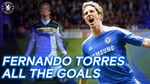 Fernando Torres: All the Goals