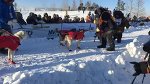 Yukon Quest - Official Site